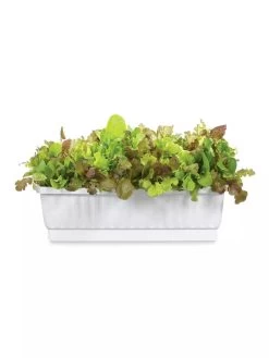 31" Self-Watering Window Box -Garden Care Shop GS36523 01Z 3 4