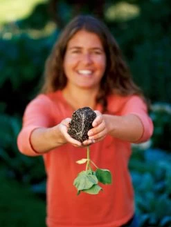 Deep Root Seedstarting System, Black -Garden Care Shop GSCOVSPR06D2 01