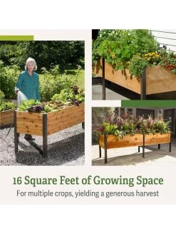 Eco-Stained Elevated Planter Box, 2'x8' -Garden Care Shop b00eow8fhu raisedbed feature 2