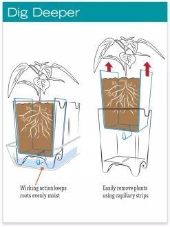 Stoneware Self-Watering Windowsill Planters, Set Of 2 -Garden Care Shop hiw 8593943 jpg