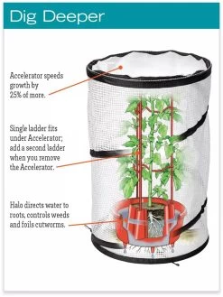 Tomato TLC Kits, Set Of 3 -Garden Care Shop hiw 8594214 jpg